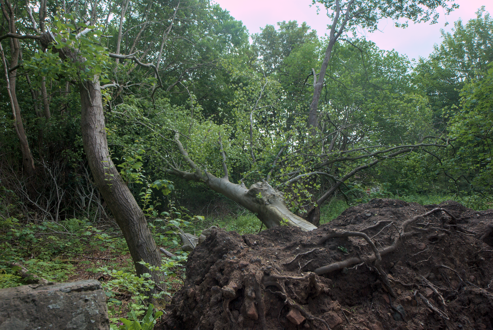 Resilience: Rebuilding After the Shock